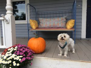 Laura's Creative Cottage front porch.