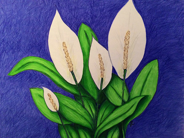 Laura's Creative Cottage. Peace Lilies by Laura Chalk. Inner peace.