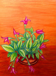 Laura's Creative Cottage. Laura Chalk. Illustration. Pink Flowers. Terra cotta.